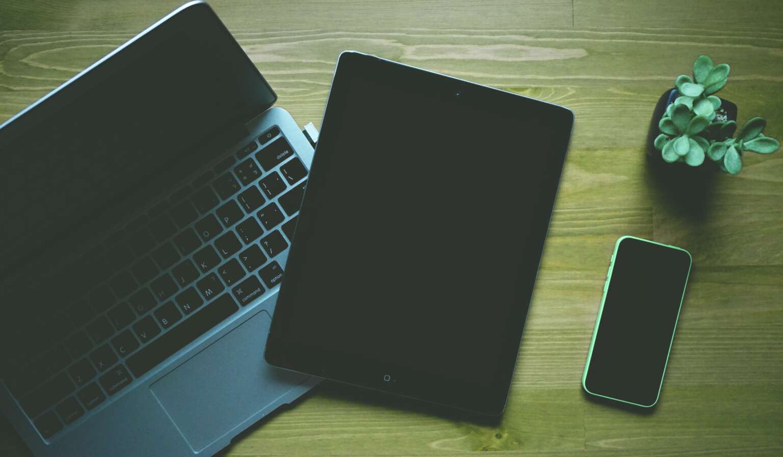 This is an image of a laptop, iPad and mobile phone kept on a table. There is a small plant also kept on the table.
